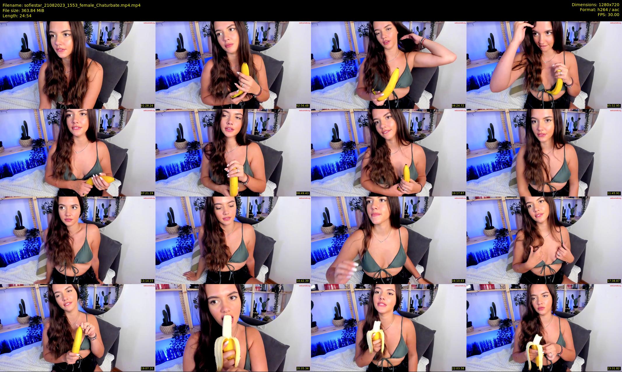 sofiestar